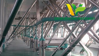 500T/Day Corn Flour,Germ Extraction and Oil Expression Plant in Ethiopia