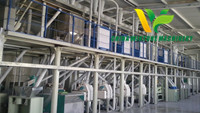 100T/Day Corn Grits and Flour Milling Plant in Tanzania
